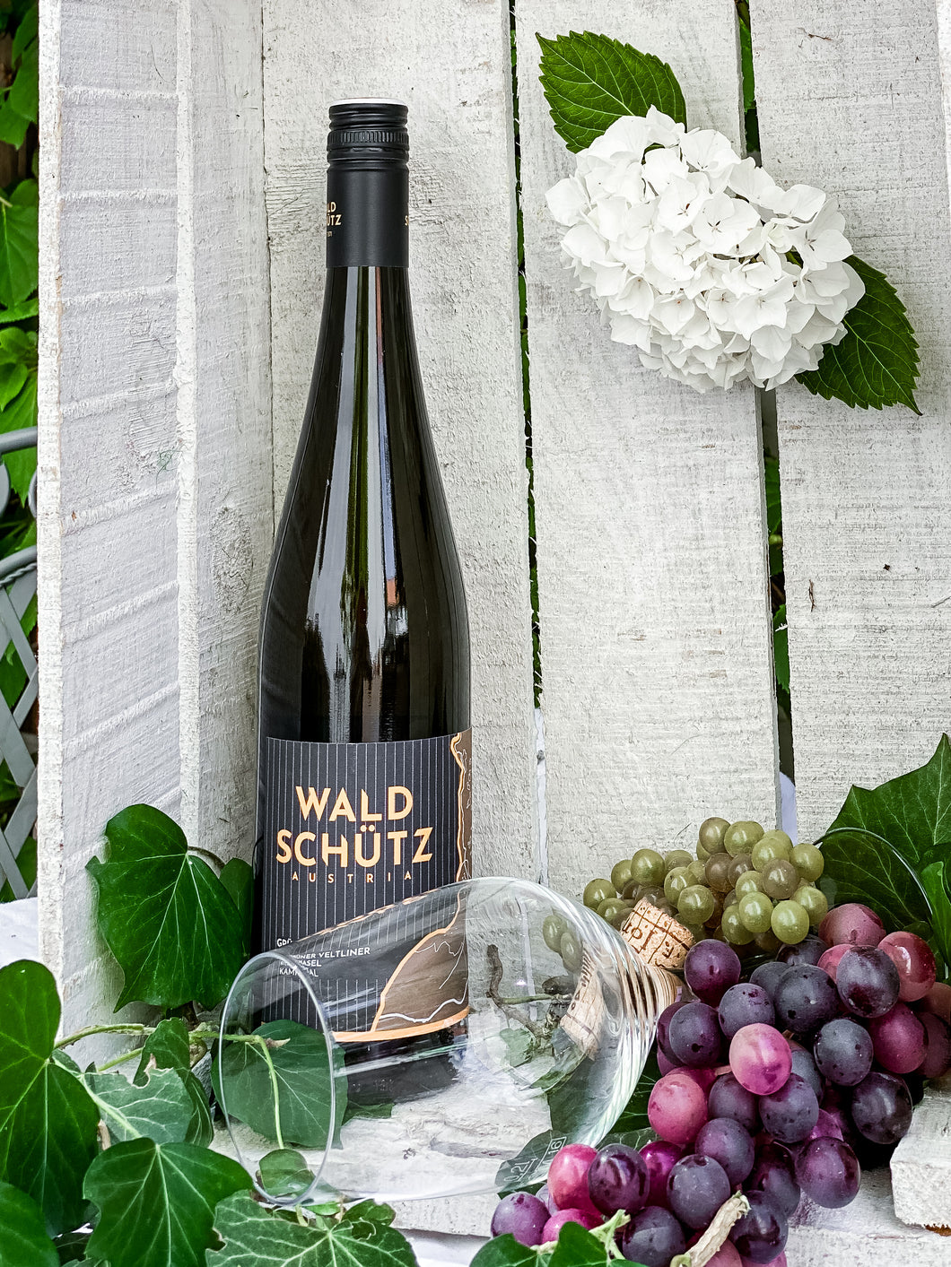 Waldschütz Austria Ried Hasel Grüner Veltliner - Weißwein